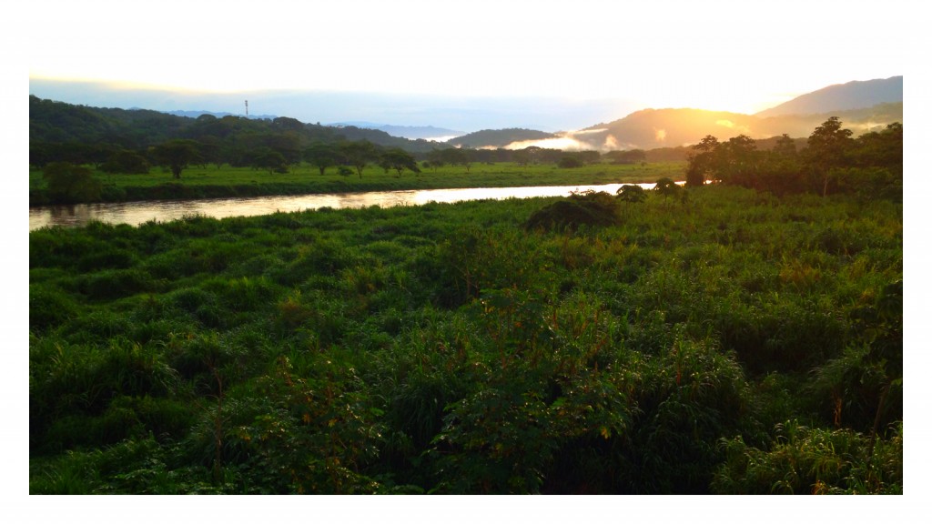 Sunrise over the   Rio Grande de Tarcoles, where thousands of American Crocodiles make their home. 
