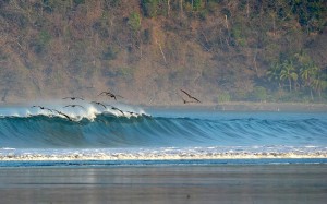 Waves in Jacó Beach are perfect for learning