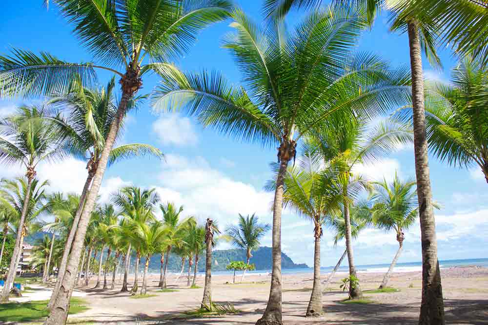 Spanish school location: Jacó Beach | Learn Spanish in Costa Rica Academia Tica Spanish School