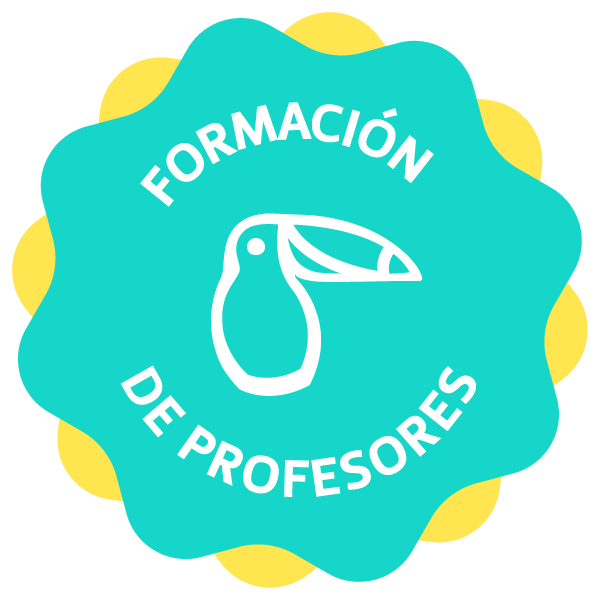 Curso formación de profesores de español como lengua extranjera