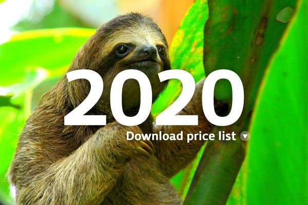 Descarga la lista de precios 2020 de Academia Tica