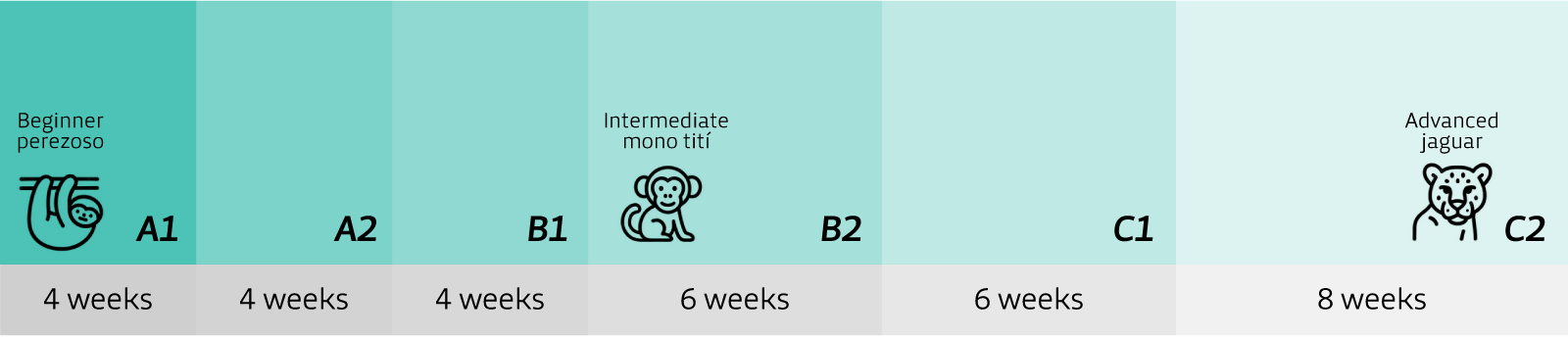 Spanish level progression with Academia Tica: Beginner perezoso to Advanced jaguar